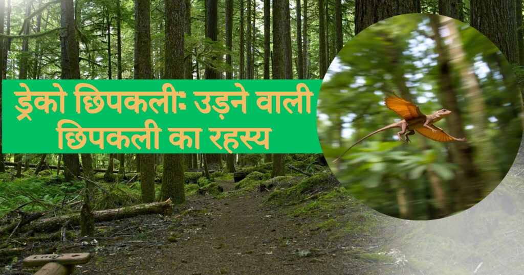 ड्रेको छिपकली: उड़ने वाली छिपकली का रहस्य