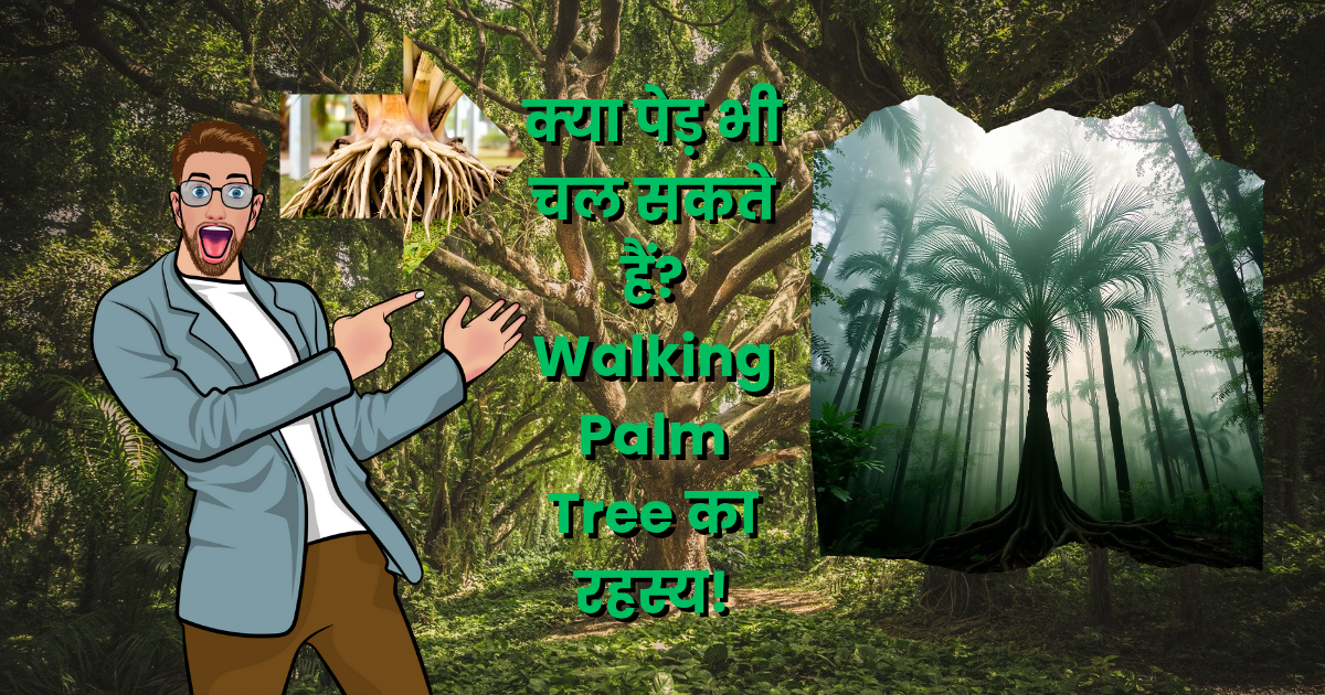 क्या पेड़ भी चल सकते हैं? जानिए Walking Palm Tree का रहस्य!