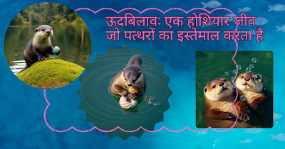 ऊदबिलाव: एक होशियार जीव