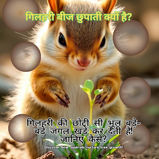 गिलहरी