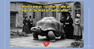 जोनाथन कछुआ