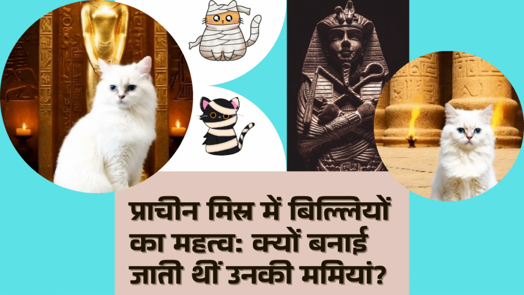 प्राचीन मिस्र में बिल्लियों का महत्व: क्यों बनाई जाती थीं उनकी ममियां?