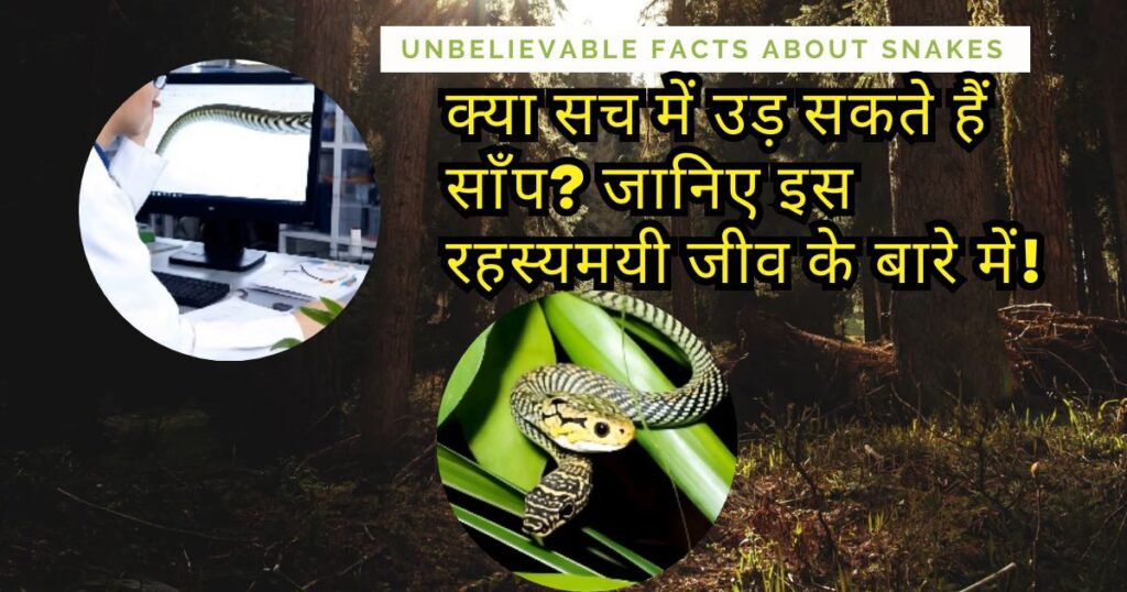 फ्लाइंग स्नेक