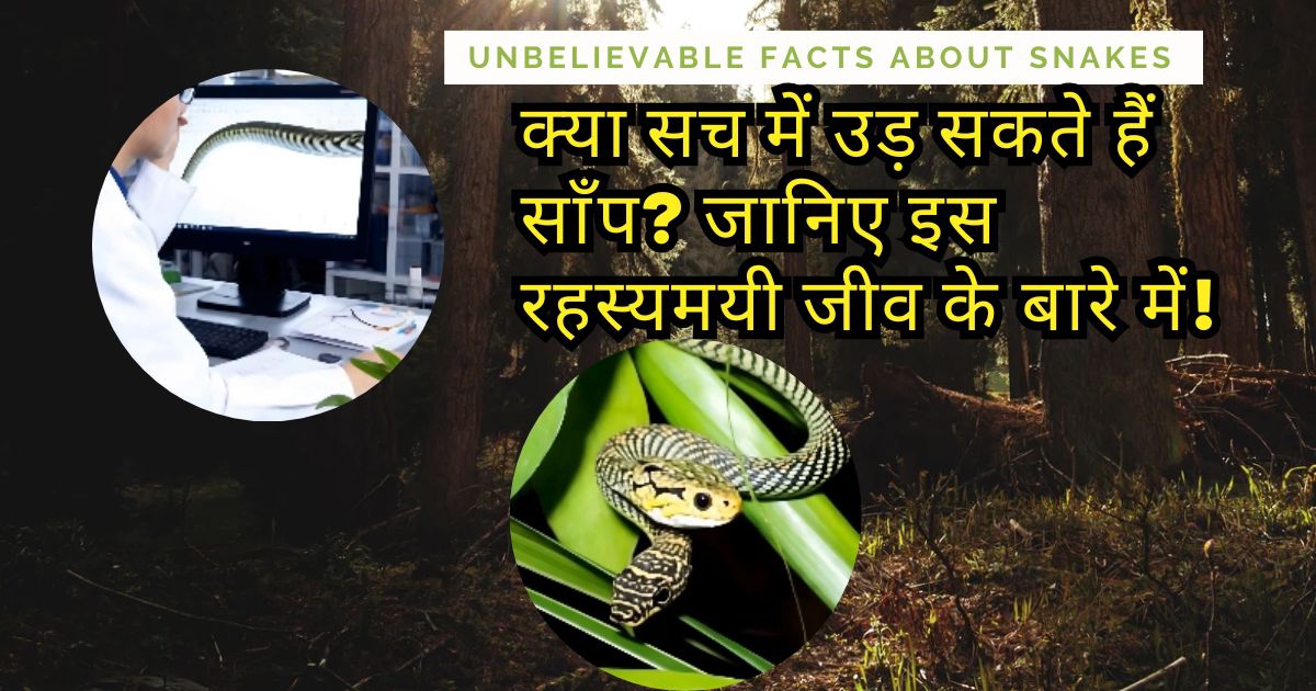 फ्लाइंग स्नेक