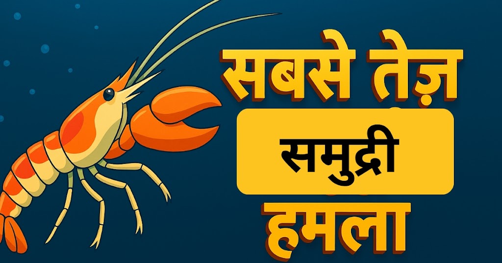 Pistol Shrimp समुद्र का शक्तिशाली छोटा जीव