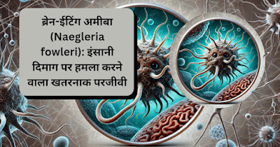 Microscopic view of ब्रेन ईटिंग अमीबा Naegleria fowleri