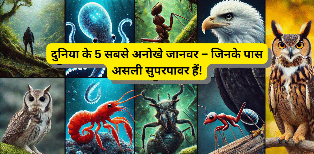अनोखे जानवर