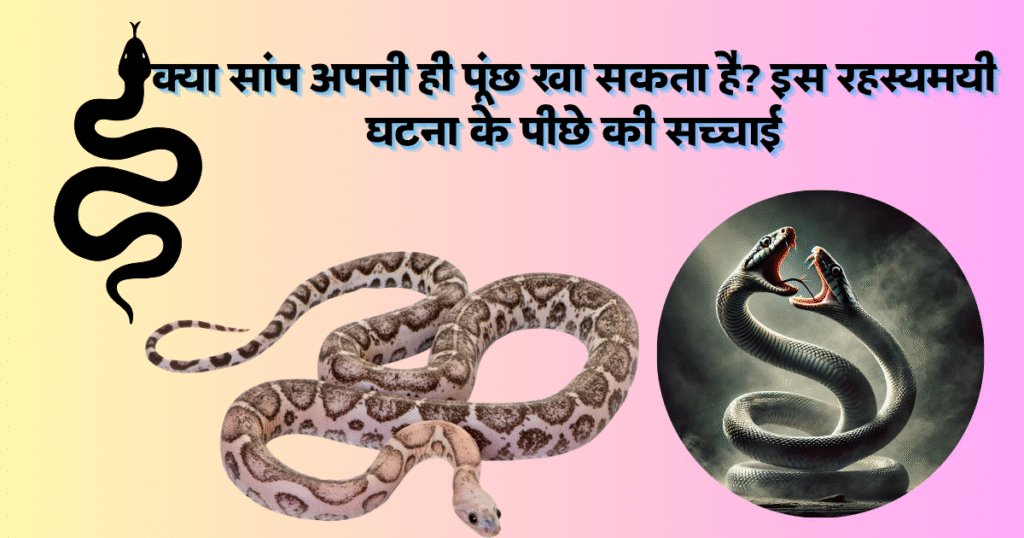 क्या सांप अपनी ही पूंछ खा सकता है