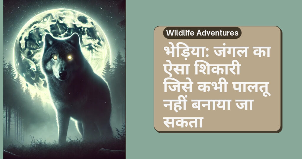 भेड़िया
