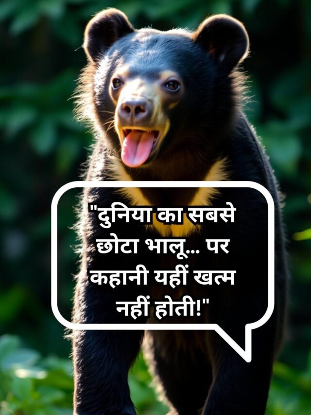 Sun Bear: दुनिया का सबसे छोटा भालू और 25cm लंबी जीभ