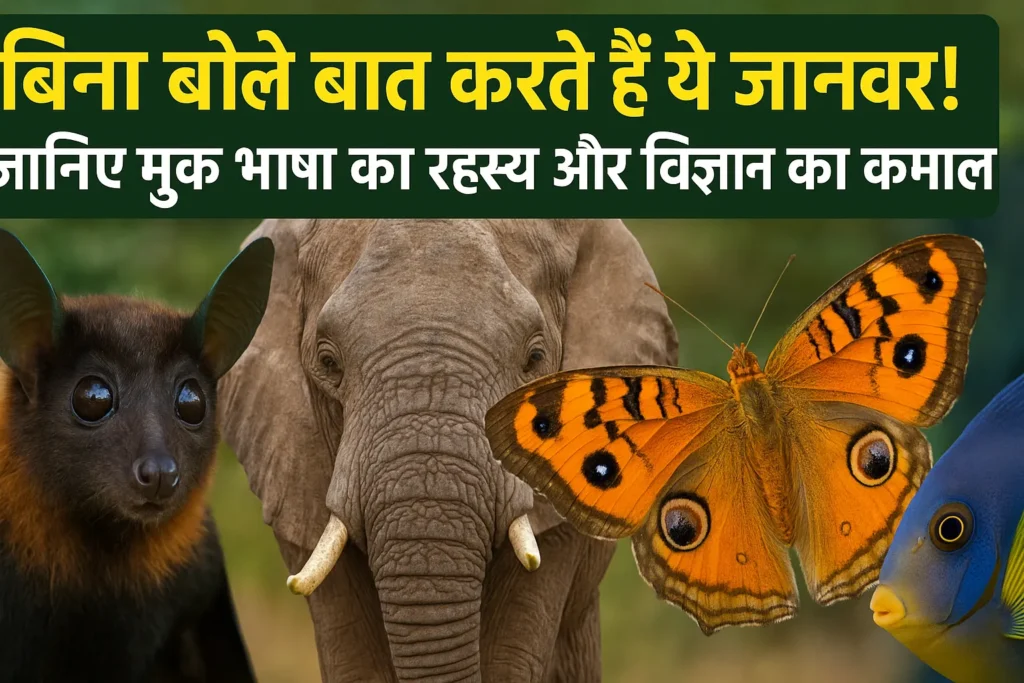 जानवरों का मूक संवाद: बिना आवाज़ के बात करते जानवरों का हिंदी जानकारी वाला थंबनेल